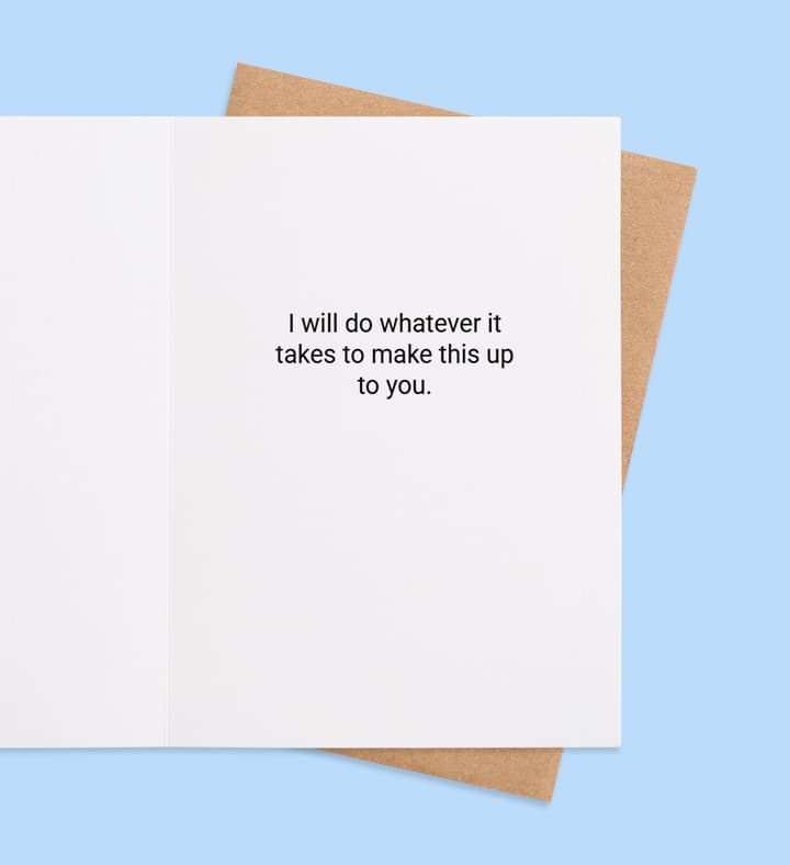 No Excuses, Just Apologies  inside view