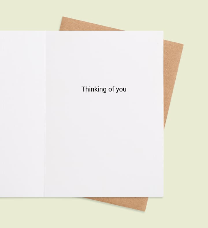 Potted Positivity  inside view