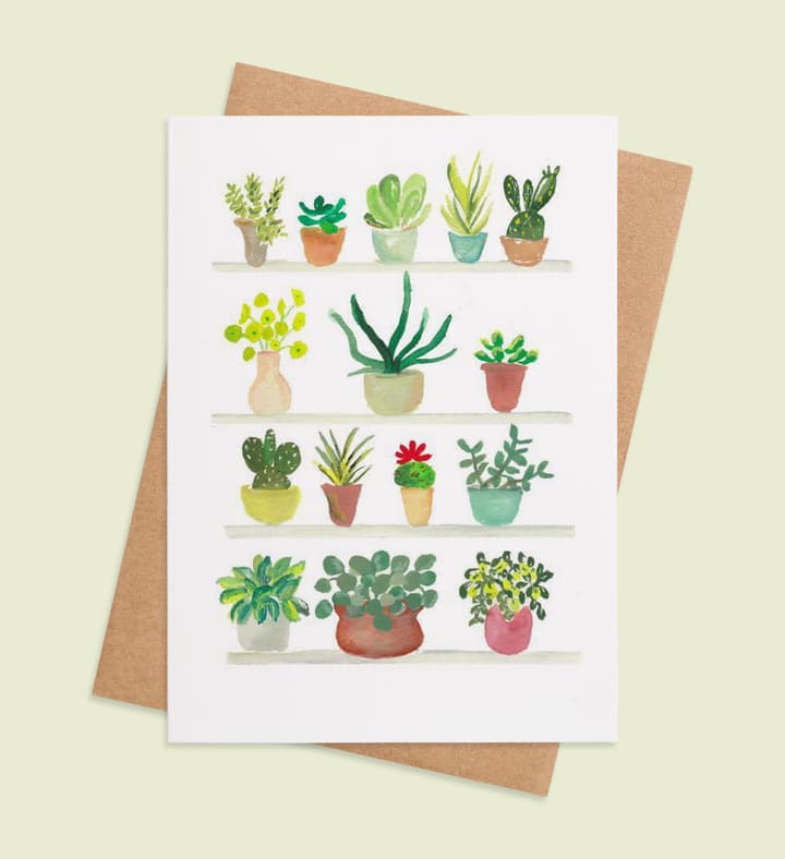 Potted Positivity  Image