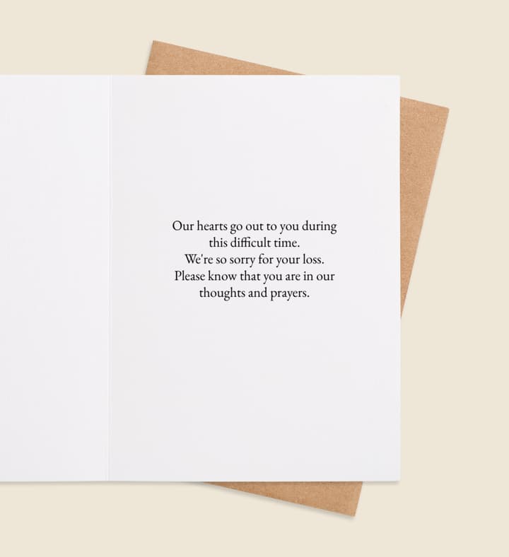 Whispers of Comfort inside view