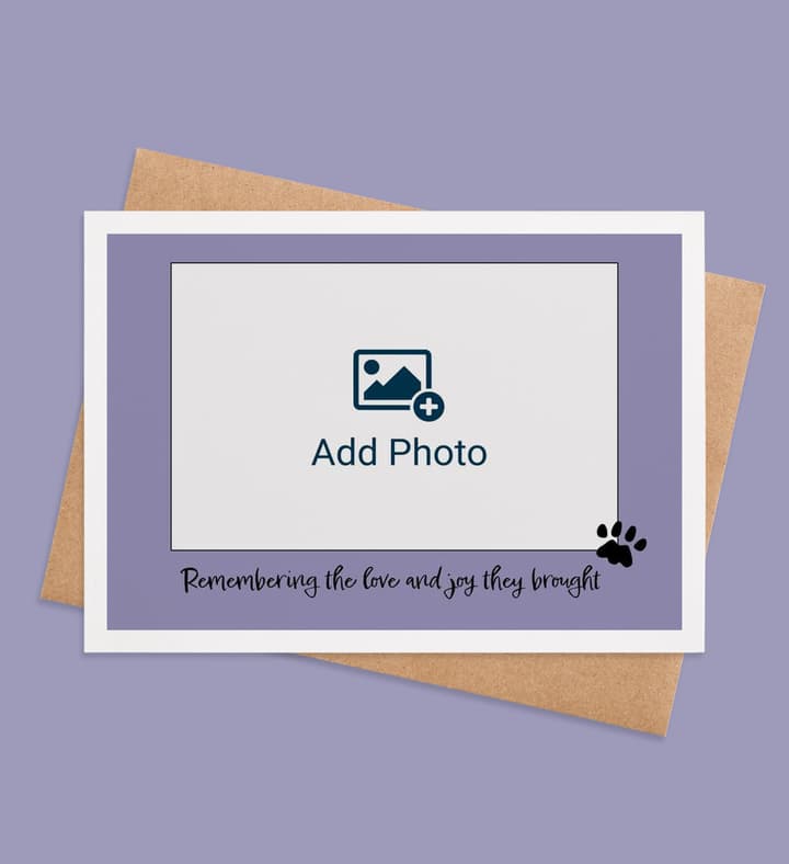 Pawprints in the Heart front view