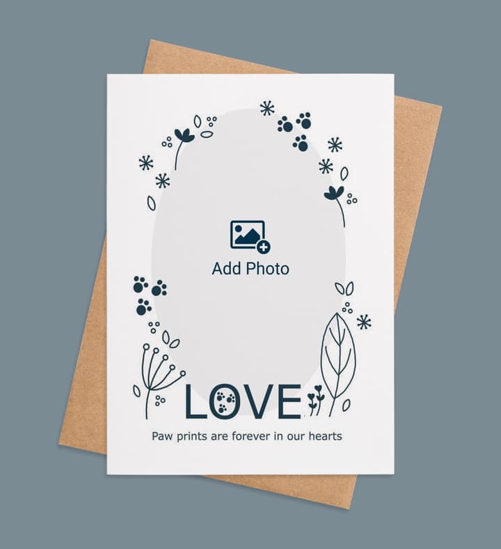 Paws of Forever front view