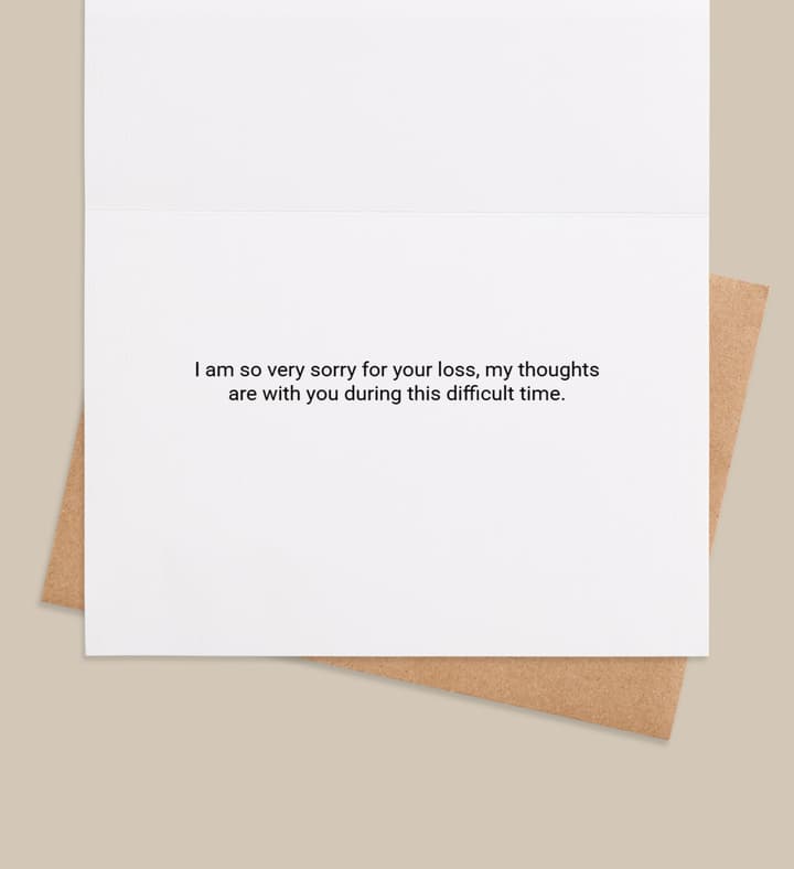 Stars of inside view