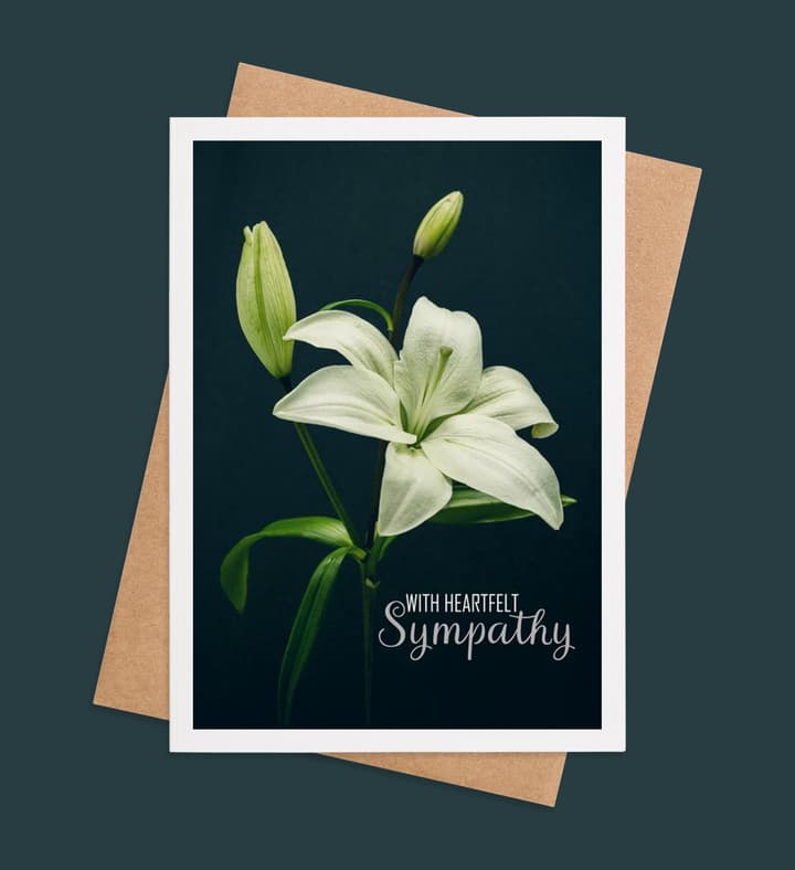 Elegance of Solace front view